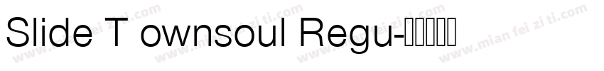 Slide T ownsoul Regu字体转换